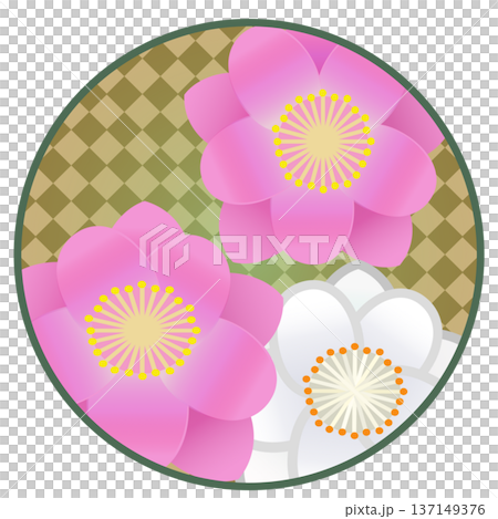 円形背景のついた花桃のイラスト 円形背景のついた花桃のイラスト 137149376