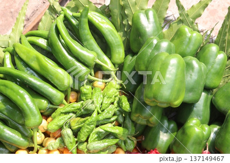 chili peppers on tree in farm are cash crops 137149467