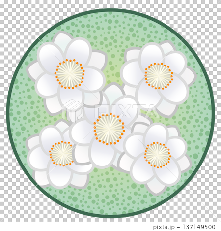 Illustration of a white blossom peach with a circular background Illustration of a white blossom peach with a circular background 137149500
