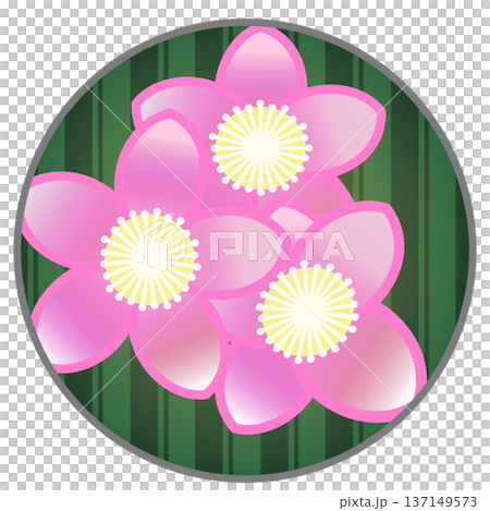Illustration of a flowering peach tree with a circular background Illustration of a flowering peach tree with a circular background 137149573