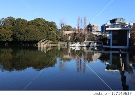 大田区　洗足池 137149637