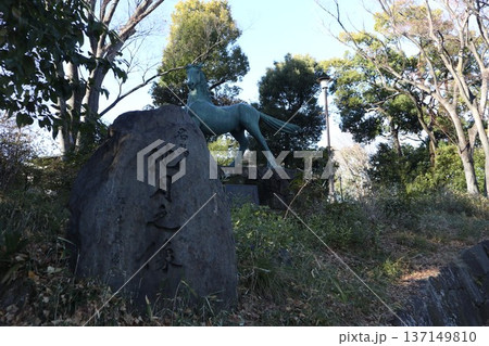 大田区 洗足池 大田区 洗足池 137149810