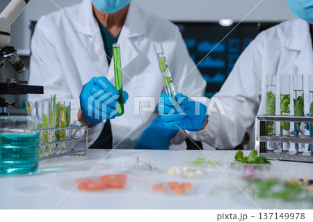 Scientists with research into natural medicine, natural skin care products, laboratories and development concepts. 137149978
