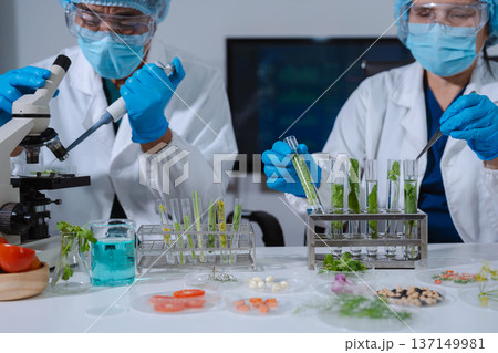 Scientists with research into natural medicine, natural skin care products, laboratories and development concepts. Scientists with research into natural medicine, natural skin care products, laboratories and development concepts. 137149981