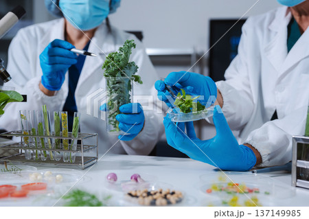 Scientists with research into natural medicine, natural skin care products, laboratories and development concepts. Scientists with research into natural medicine, natural skin care products, laboratories and development concepts. 137149985