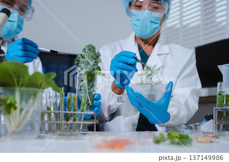 Scientists with research into natural medicine, natural skin care products, laboratories and development concepts. 137149986
