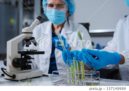 Scientists with research into natural medicine, natural skin care products, laboratories and development concepts. 137149989