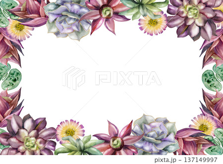 Rosette succulents, lithops living stones, daisy flowers botanical edge. Isolated frame hand drawn in watercolor for wedding invitations, organic product labels, plant care cards, boutique stationery. 137149997
