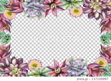 Rosette succulents, lithops living stones, daisy flowers botanical edge. Isolated frame hand drawn in watercolor for wedding invitations, organic product labels, plant care cards, boutique stationery. 137149997