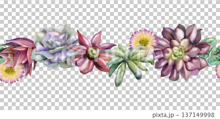 Rosette succulent echeveria, aeonium with fleshy layered leaves, daisy flower in seamless flow. Isolated illustration hand drawn in watercolor. Botanical banner for website headers, organic cosmetics Rosette succulent echeveria, aeonium with fleshy layered leaves, daisy flower in seamless flow. Isolated illustration hand drawn in watercolor. Botanical banner for website headers, organic cosmetics 137149998