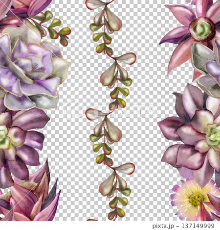 Botanical seamless striped pattern of watercolor succulents, flowering cacti, flowing vines. Isolated illustration hand drawn in watercolor. Apparel prints, home accessories, modern decor backgrounds. Botanical seamless striped pattern of watercolor succulents, flowering cacti, flowing vines. Isolated illustration hand drawn in watercolor. Apparel prints, home accessories, modern decor backgrounds. 137149999