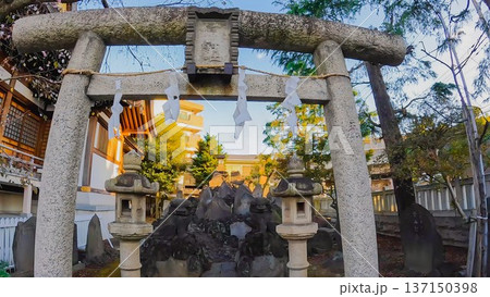 東京都足立区足立　西之宮稲荷神社富士塚 137150398