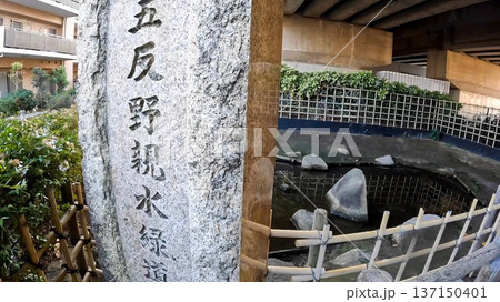 東京都足立区　五反野親水緑道 137150401