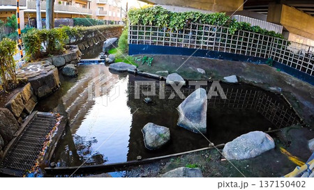 東京都足立区　五反野親水緑道 137150402