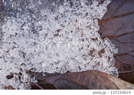 冬の山 枯れた草の上の氷の粒01 冬の山 枯れた草の上の氷の粒01 137150624