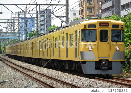 西武新宿線 高田馬場～下落合を走行する 旧2000系 2003F 137150881