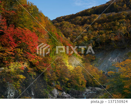 【秋山郷】秋の秋山郷_03 【秋山郷】秋の秋山郷_03 137150924