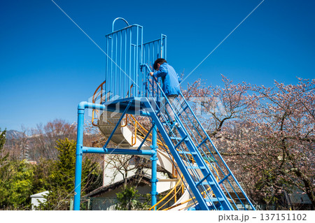 Japanese boy climb up slider by cherry sakura blossom, Matsumoto Japanese boy climb up slider by cherry sakura blossom, Matsumoto 137151102
