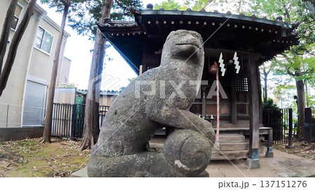 東京都世田谷区瀬田4丁目 瘡守稲荷神社 137151276