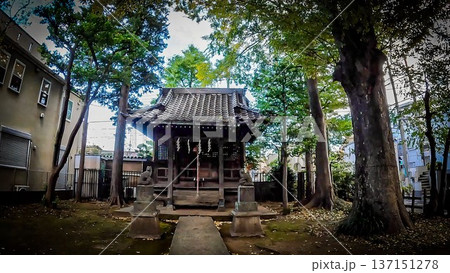 東京都世田谷区瀬田4丁目 瘡守稲荷神社 東京都世田谷区瀬田4丁目 瘡守稲荷神社 137151278