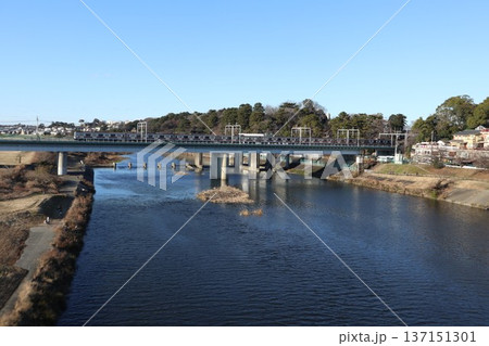 多摩川 多摩川 137151301