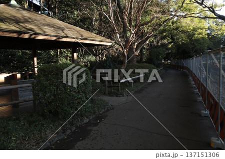 大田区 田園調布せせらぎ公園 大田区 田園調布せせらぎ公園 137151306