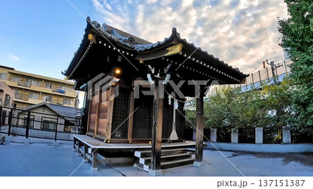 東京都世田谷区玉川3丁目 諏訪神社 東京都世田谷区玉川3丁目 諏訪神社 137151387