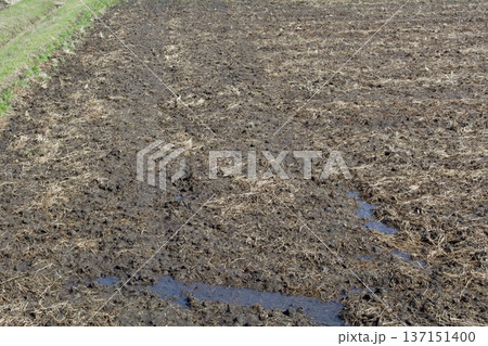 田んぼ 土作り 137151400