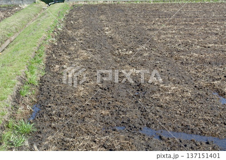 田んぼ 土作り 137151401