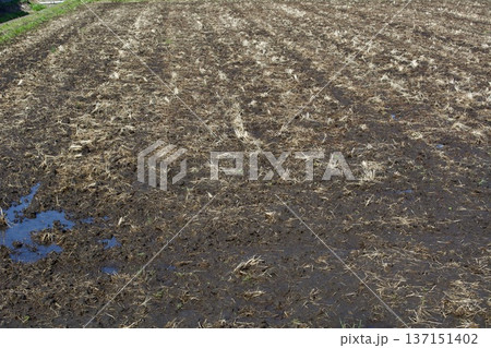 田んぼ 土作り 137151402