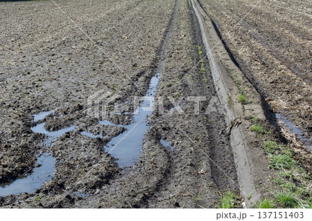 田んぼ 土作り 137151403