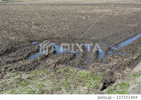 田んぼ 土作り 137151404