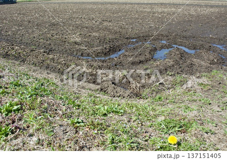 田んぼ 土作り 137151405