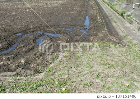 田んぼ 土作り 137151406