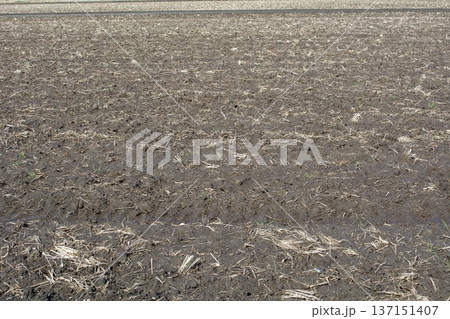 田んぼ 土作り 137151407