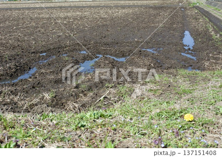 田んぼ 土作り 137151408