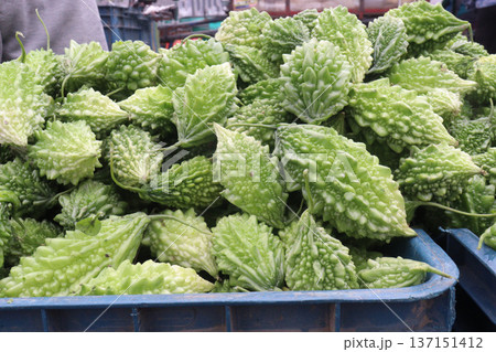 Raw Bitter melon Stock on Shop for sell Raw Bitter melon Stock on Shop for sell 137151412