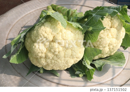 Cauliflower on shop for sell 137151502