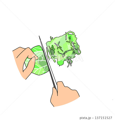 キャベツを千切りにするイラスト｜料理・調理工程 137151527