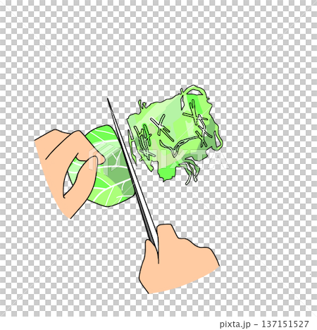 高麗菜切絲示意圖 | 烹飪及烹飪過程 137151527