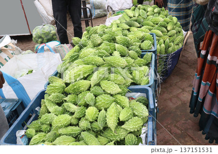 Raw Bitter melon Stock on Shop for sell 137151531