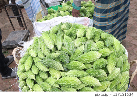 Raw Bitter melon Stock on Shop for sell 137151534