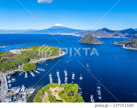 駿河湾、内浦湾と富士山（静岡県沼津市） 137151580