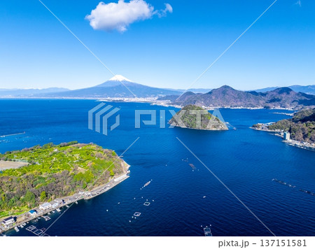駿河湾、内浦湾と富士山（静岡県沼津市） 137151581