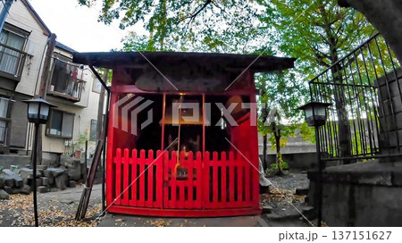 川崎市高津区二子 二子神社摂社 出世稲荷 川崎市高津区二子 二子神社摂社 出世稲荷 137151627