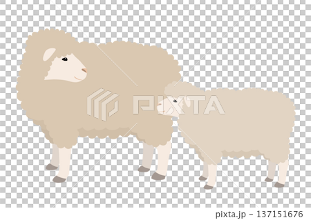 Vector illustration of a mother and baby sheep 137151676