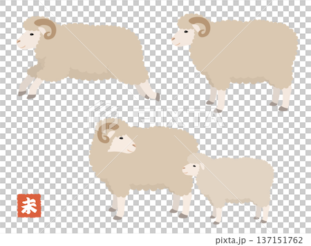 Sheep (Year of the Sheep) vector illustration set 137151762