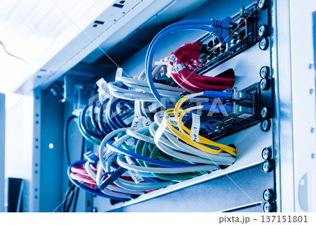 ethernet cables connected to server switch 137151801