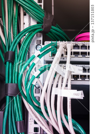 network cables connected into server inside data center network cables connected into server inside data center 137151803