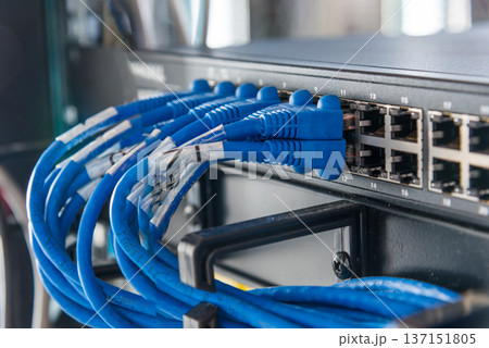 blue ethernet cables connected to switch blue ethernet cables connected to switch 137151805